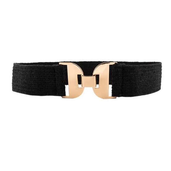 Elizabeth Besich Accessories - 2/$21 Black Ladies Stretch Fashion Belt
